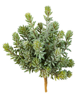Искусственное растение Sedum Bush / Седум H20cm