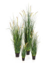 Штучна рослина Grass Foxtail / Трава Лисохвіст H140cm NKoop FW