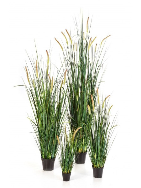 Штучна рослина Grass Foxtail / Трава Лисохвіст H140cm NKoop FW