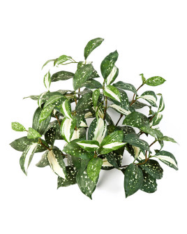 Artificial Plant Cordyline Bush H35cm