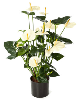 Artificial Plant Anthurium De Luxe Bush H78cm