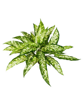 Искусственное растение Aglaonema Bush / Аглаонема H48cm