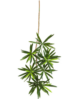 Искусственное растение Podocarpus Spray / Подокарпус ветка H53cm