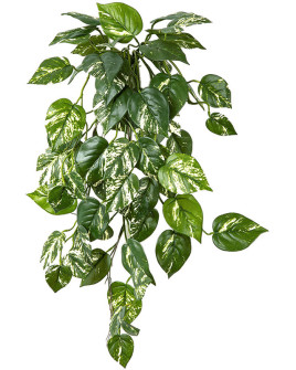 Искусственное растение Pothos Hanging Bush / Потос (Сциндапсус) H70cm