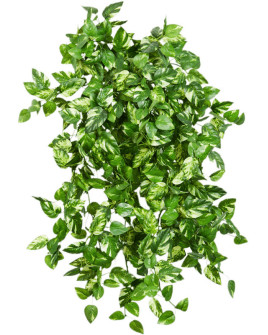 Искусственное растение Mini Pothos Bush / Потос мини H50cm