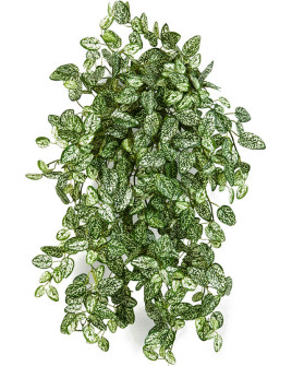 Искусственное растение Mini Hypoestes Hanging / Гипоэстес Мини H50cm