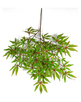 Искусственное растение Maple Japanese / Клен Японский ветка H63cm