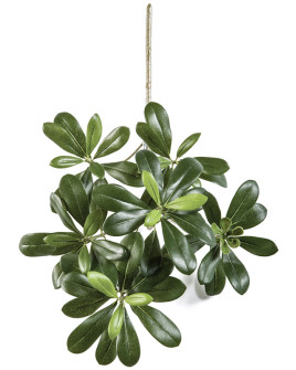 Искусственное растение Pittisporum Mountain / Питтиспорум ветка H40cm