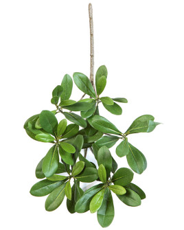 Искусственное растение Pittisporum Light / Питтиспорум ветка H40cm