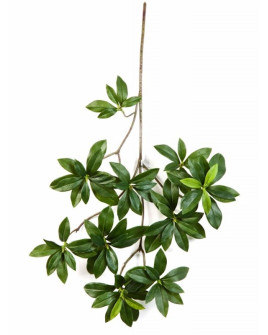 Искусственное растение Euonymus Japonicus / Бруслина Японская ветка H55cm