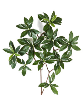Искусственное растение Euonymus Japonicus / Бруслина Японская пёстрая H55cm