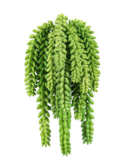 Искусственное растение Sedum Morganianum / Седум Моргана H27cm
