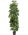 Artificial Plant Schefflera Column variegated H180cm NKoop FW