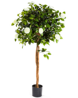 Штучна рослина Camelia Umbrella Tree / Камелія зонтична H160cm