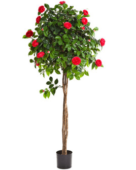 Artificial Plant Camelia Umbrella Tree H160cm