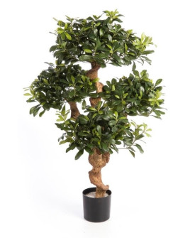 Искусственное растение Pittisporum Mountain Tree / Питтиспорум H120cm