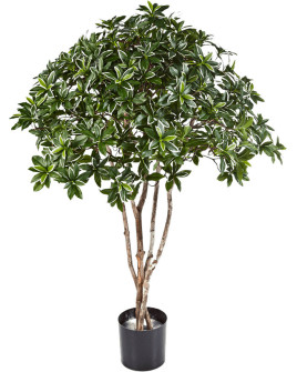 Искусственное растение Euonymus Japonicus Tree / Бруслина Японская H120cm