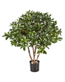 Искусственное растение Euonymus Japonicus / Бруслина Японская H75cm