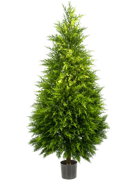 Искусственное растение Cypres Tree / Кипарис H120cm NKoop FW