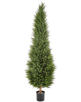 Искусственное растение Cypres Tree / Кипарис H180cm