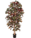 Искусственное растение Capensia Bush Tree / Капенсия H180cm NKoop FW