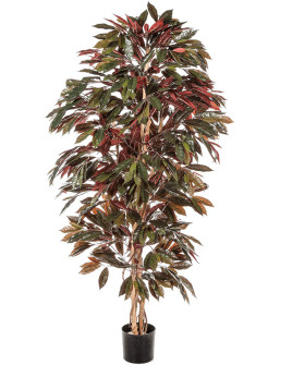 Искусственное растение Capensia Bush Tree / Капенсия H180cm