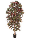 Искусственное растение Capensia Bush Tree / Капенсия H210cm NKoop FW