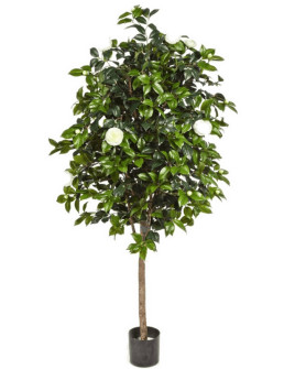 Artificial Plant Camelia Vine Tree White H170cm