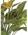 Искусственное растение Natural Strelitzia / Стрелиция H130cm NKoop FW