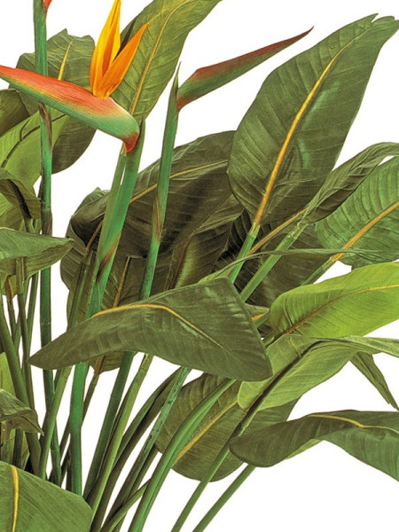 Искусственное растение Natural Strelitzia / Стрелиция H130cm NKoop FW