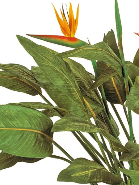 Искусственное растение Natural Strelitzia / Стрелиция H130cm NKoop FW