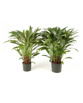 Искусственное растение Calathea / Калатея H84cm