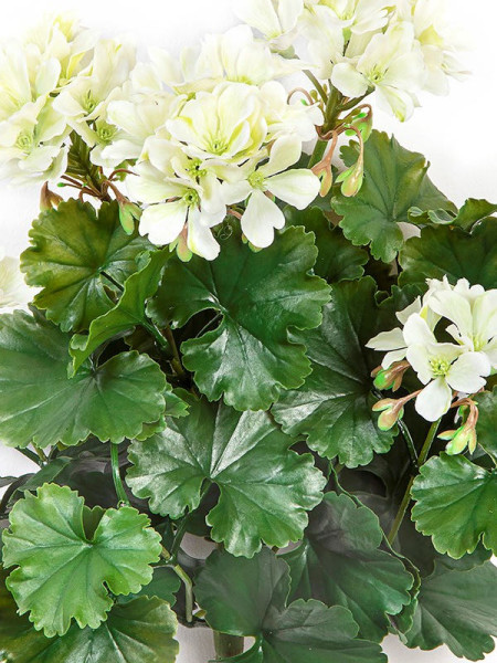Artificial Plant Geranium Bush Cream H39cm NKoop FW