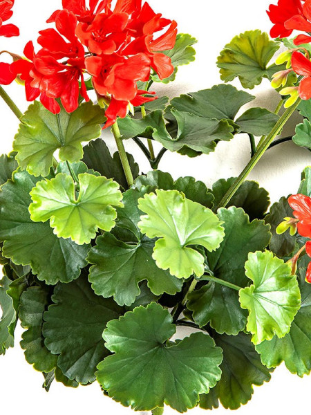 Artificial Plant Geranium Bush Red H39cm NKoop FW