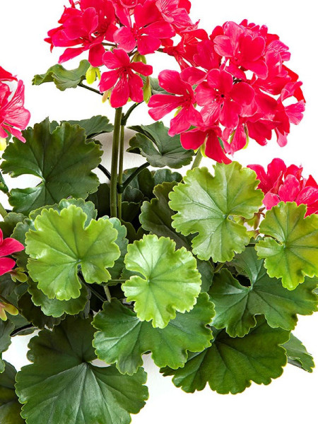 Искусственное растение Geranium Bush Purple / Герань H39cm NKoop FW