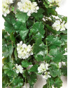 Artificial Plant Geranium Hanging Bush Cream H66cm NKoop FW