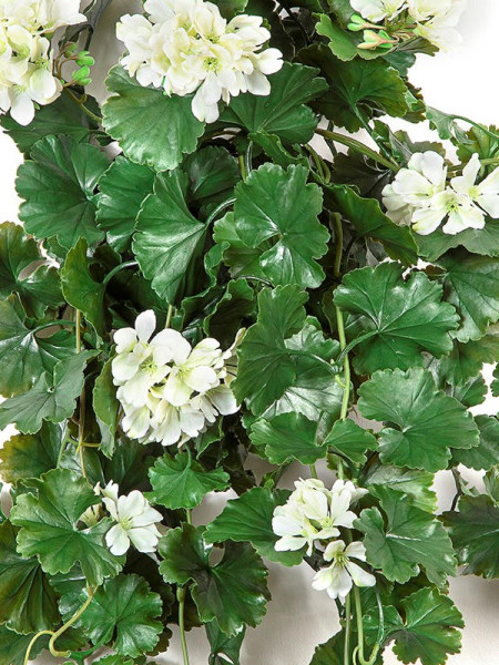 Artificial Plant Geranium Hanging Bush Cream H66cm NKoop FW