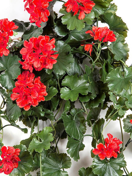 Искусственное растение Geranium Hanging Bush Red / Герань H66cm NKoop FW