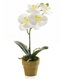 Artificial Plant Orchid Phalaenopsis mini Cream H25cm