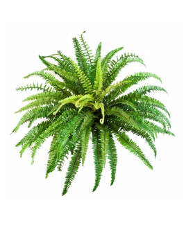 Искусственное растение Forest Fern / Папоротник Нефролепис H85cm