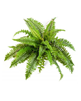 Искусственное растение Папоротник Boston Nephrolepis H60cm