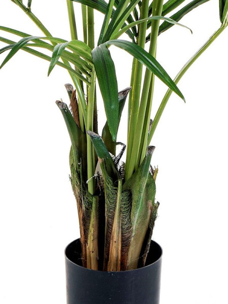 Artificial Plant Natural Kentia Palm H172cm NKoop FW