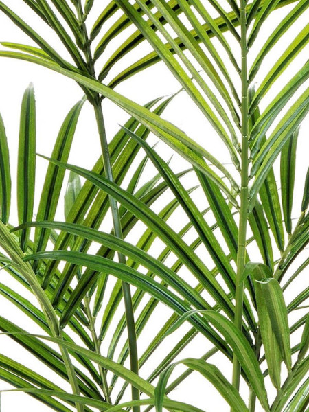 Artificial Plant Natural Kentia Palm H172cm NKoop FW