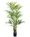 Artificial Plant Natural Kentia Palm H172cm NKoop FW