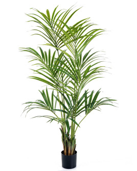 Искусственное растение Natural Kentia Palm / Пальма Кентия H200cm