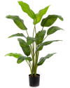 Искусственная Королевская пальма H120cm NKoop FW
