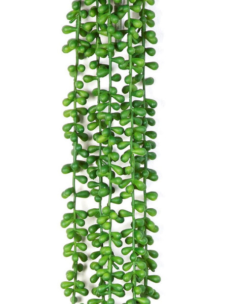 Искусственное растение String Of Pearls Hanging / Жемчужная нить лиана H90cm NKoop FW
