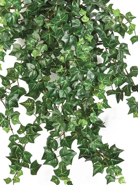 Искусственное растение Mini English Ivy hanging / Циссус (плющ) H50cm NKoop FW