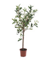 Искусственное растение Olive Mini Tree / Оливковое дерево H65cm NKoop EEG