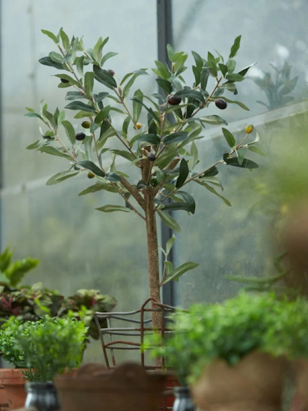 Искусственное растение Olive Mini Tree / Оливковое дерево H65cm NKoop EEG